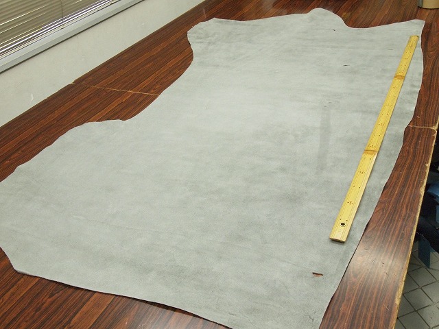 P6064727