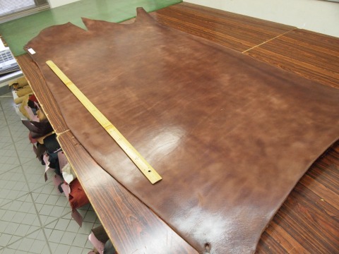 P4103145