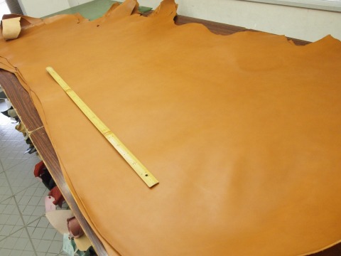 P6055345