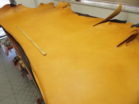 P7317836