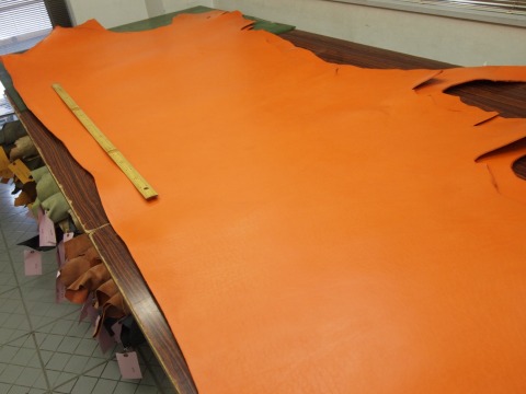 P9048798