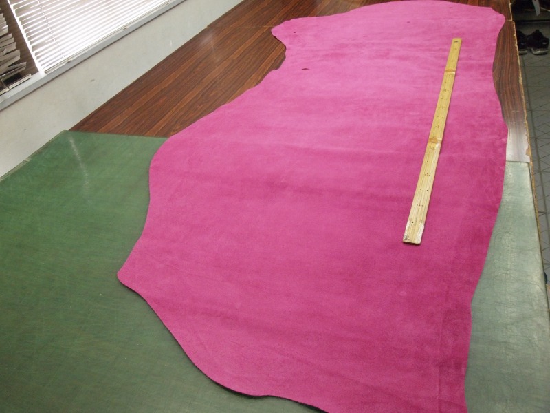 P1204233