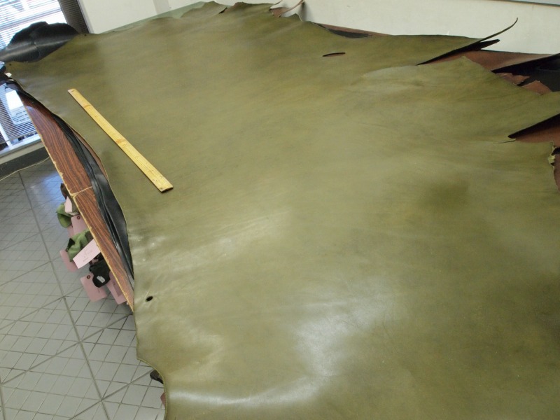 P1135269