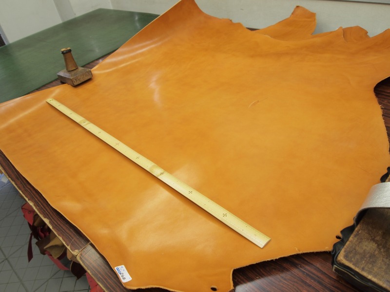 P4135534