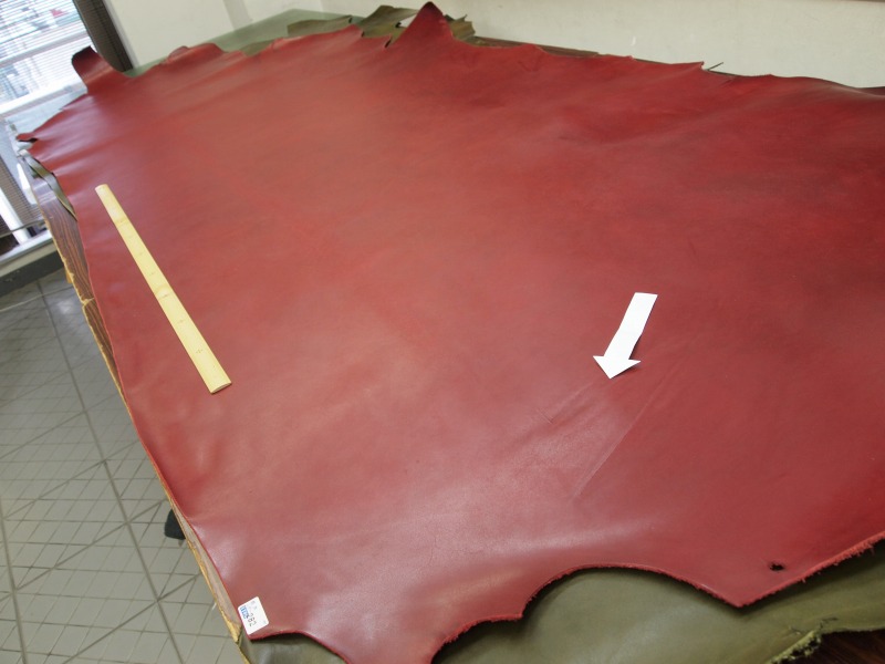 P4205747
