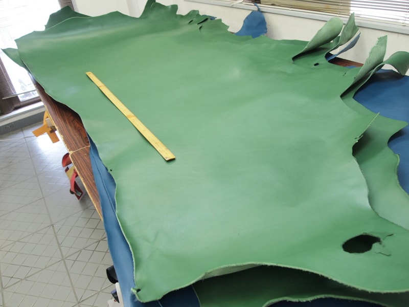 Mjp6016660