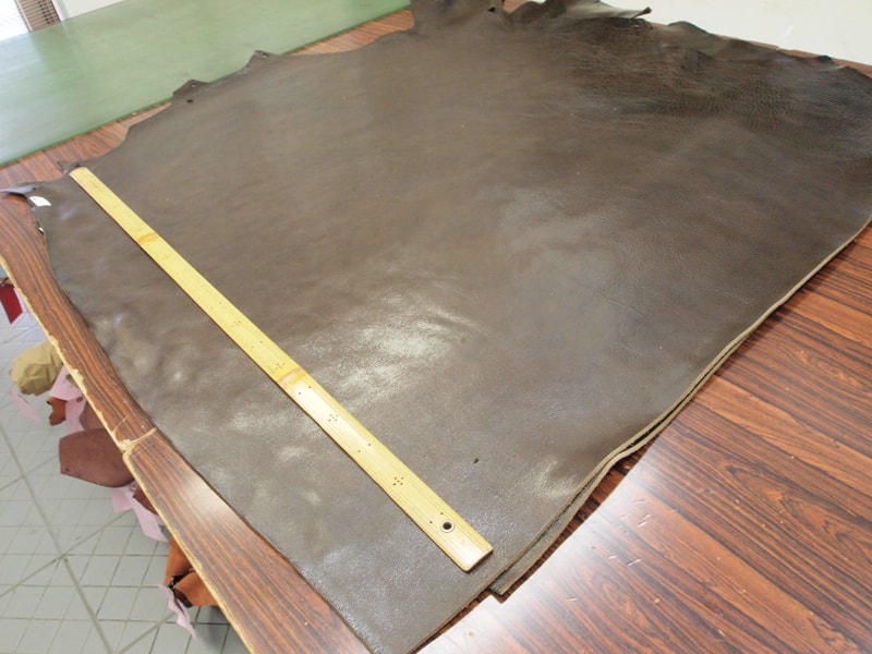 Mjpa270873