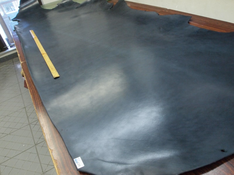 Mjpb020994