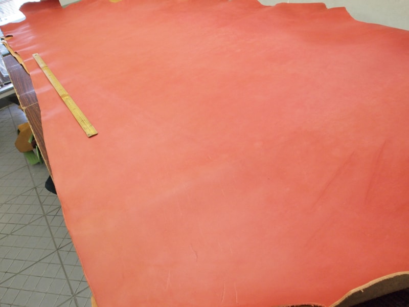 Mjp5105898