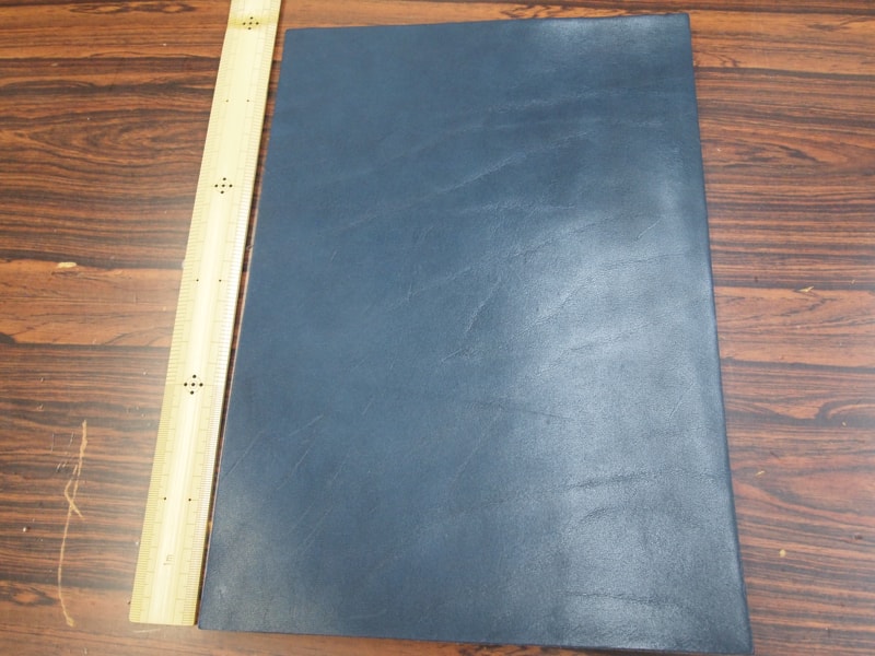 Mjp9139783