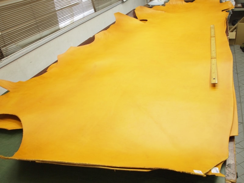 Mjpa040897