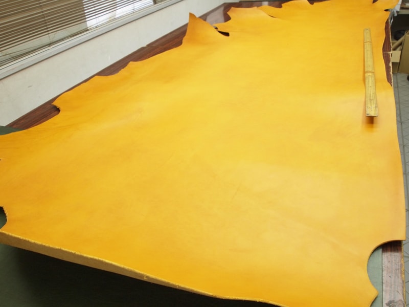 Mjpa040900