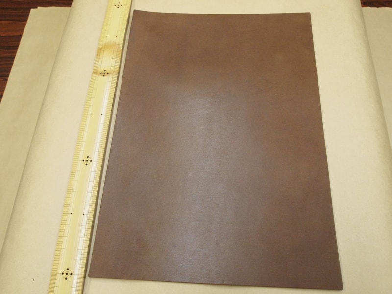 Mjpa111106