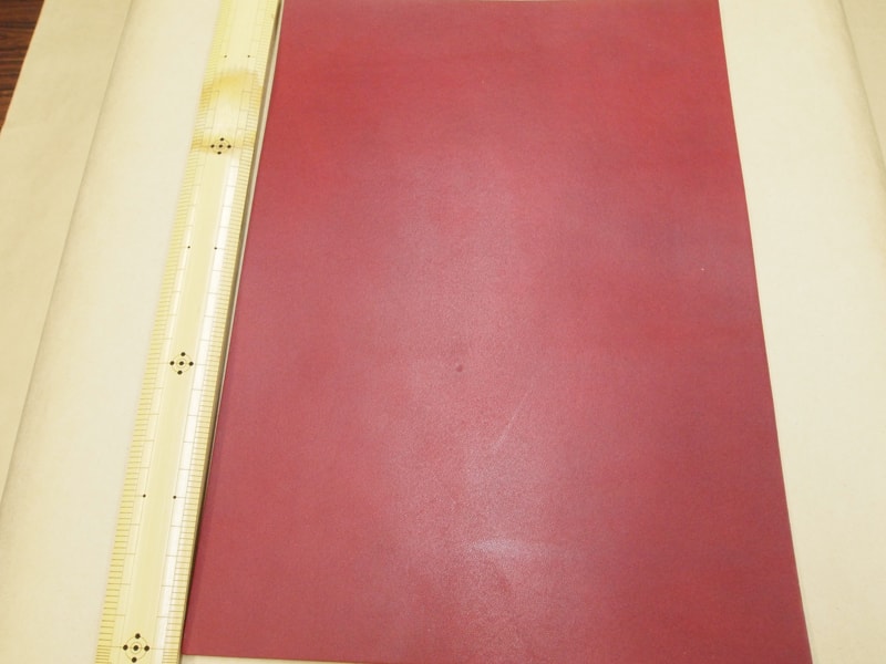Mjpa111180
