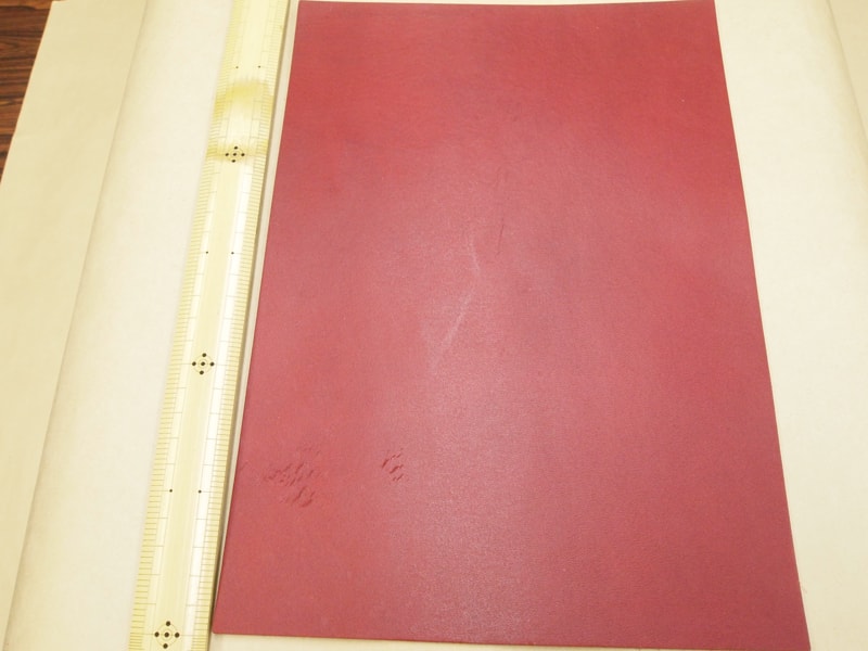 Mjpa111184
