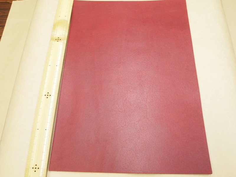 Mjpa111190