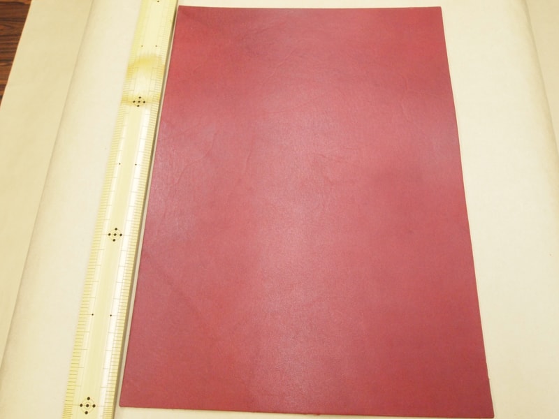 Mjpa111196