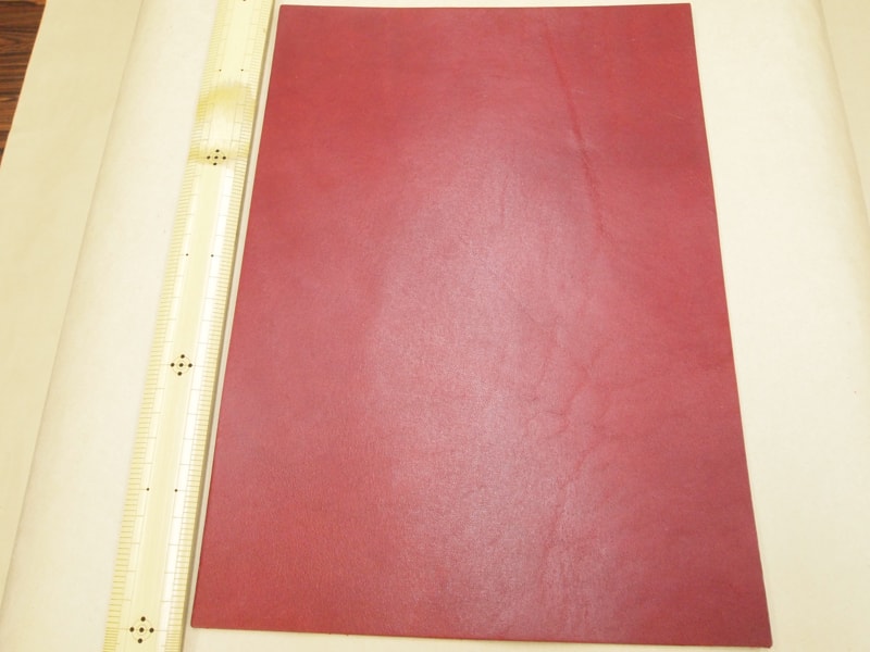 Mjpa111198