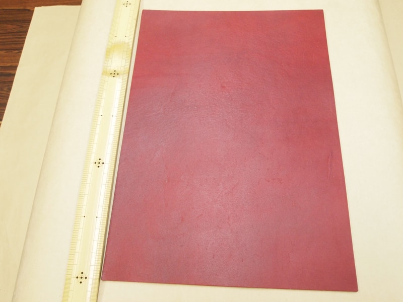 Mjpa111200