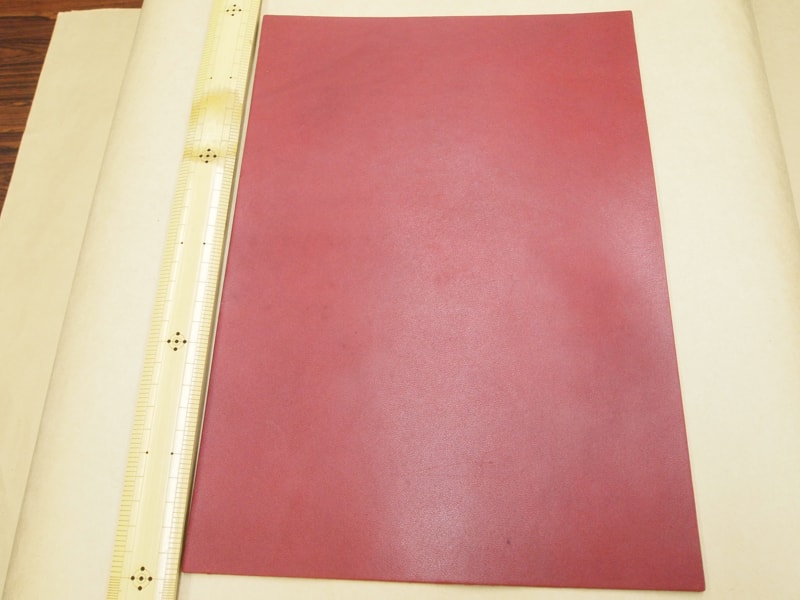 Mjpa111204