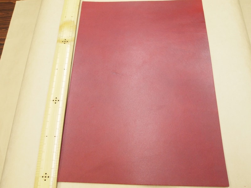 Mjpa111206