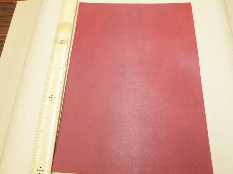 Mjpa111208