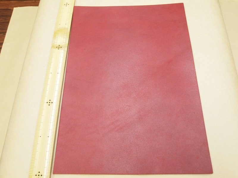 Mjpa111210