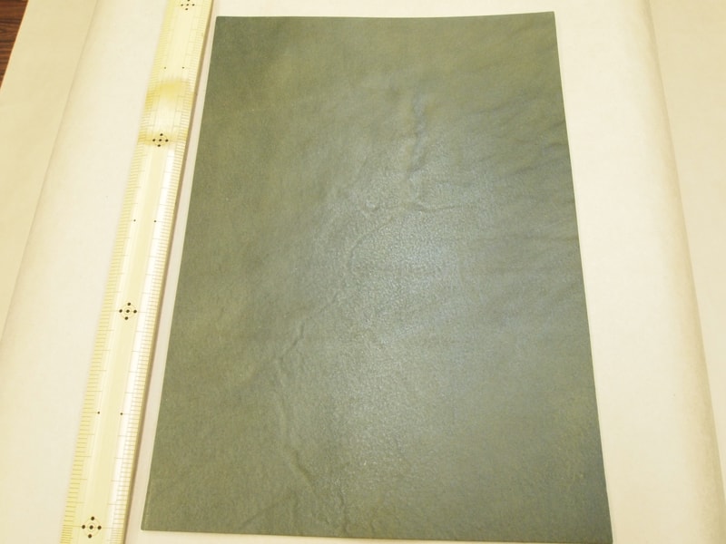 Mjpa111237