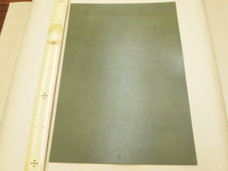 Mjpa111255