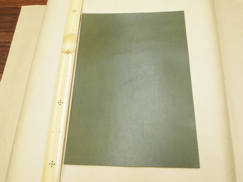 Mjpa111259