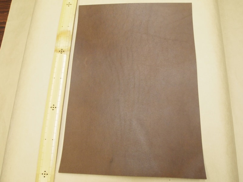 Mjpa111295