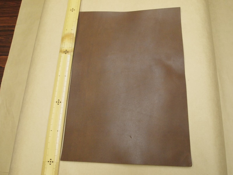 Mjpa111301