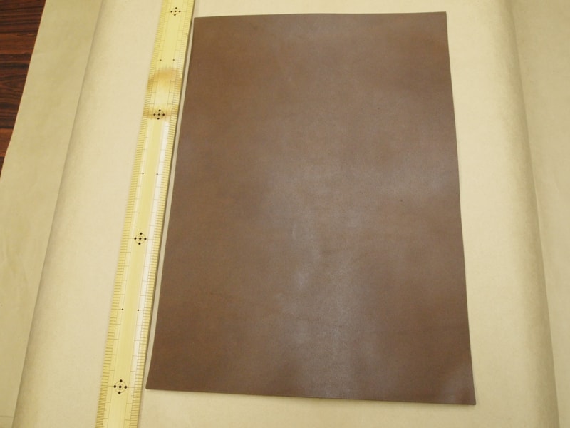 Mjpa111303