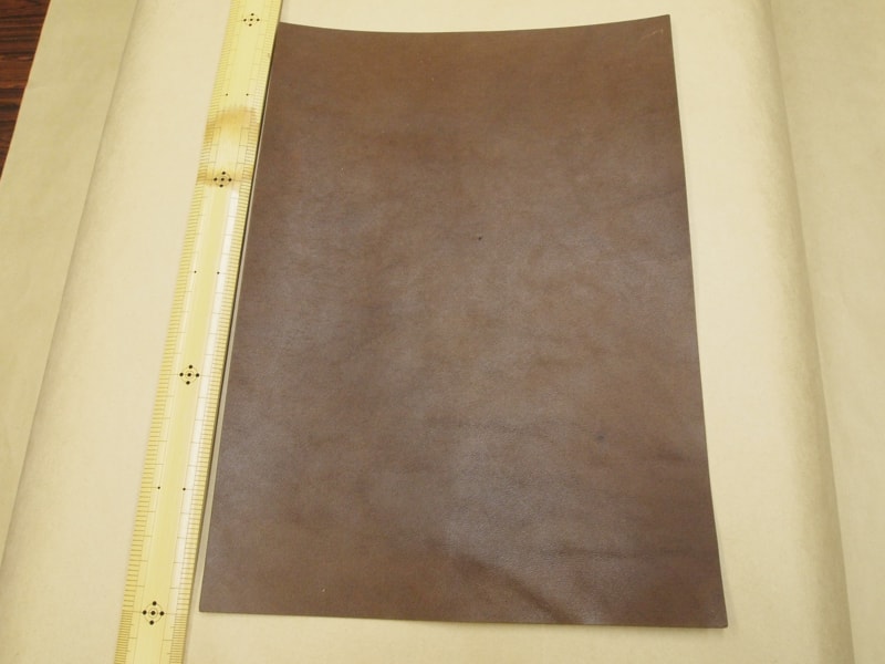Mjpa111309