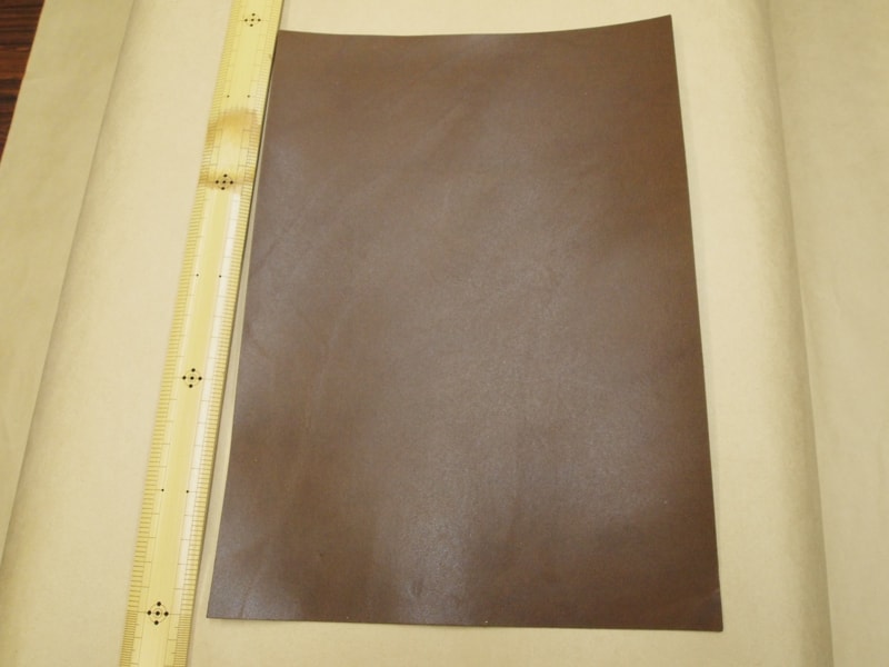 Mjpa111319