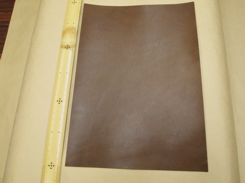 Mjpa111321