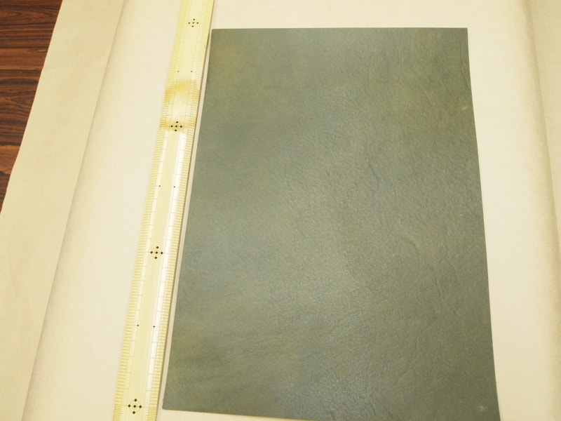 Mjpa111337
