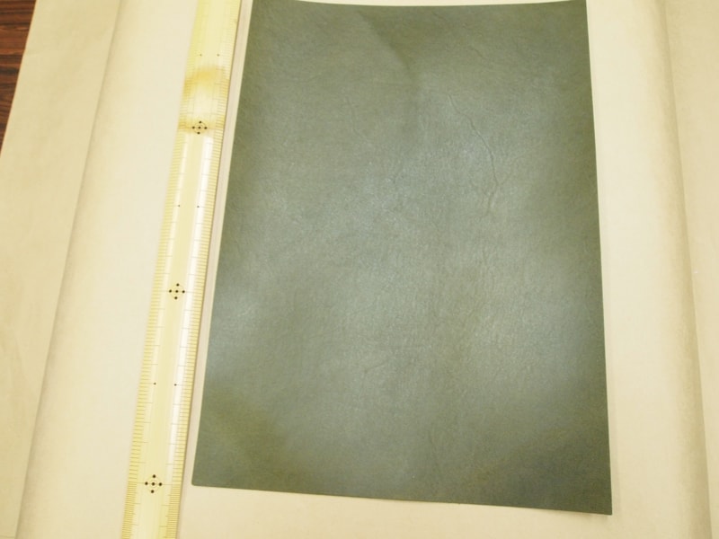 Mjpa111347