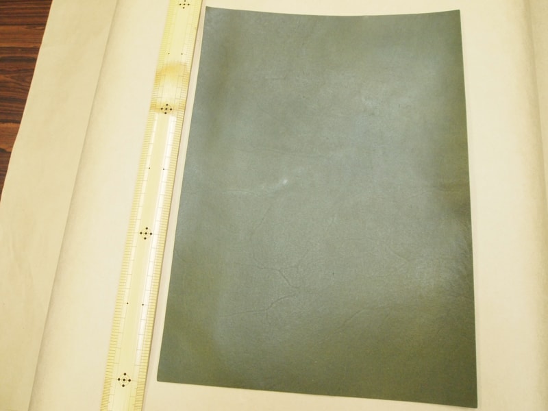 Mjpa111355