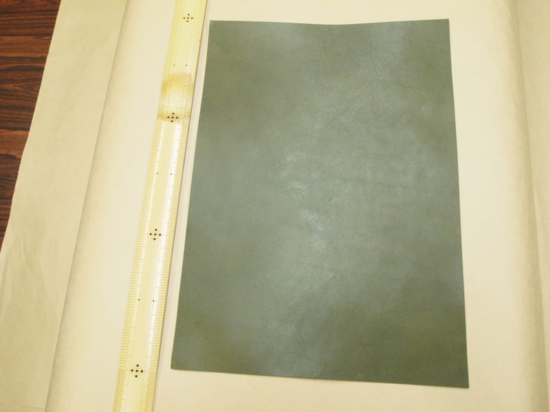 Mjpa111357
