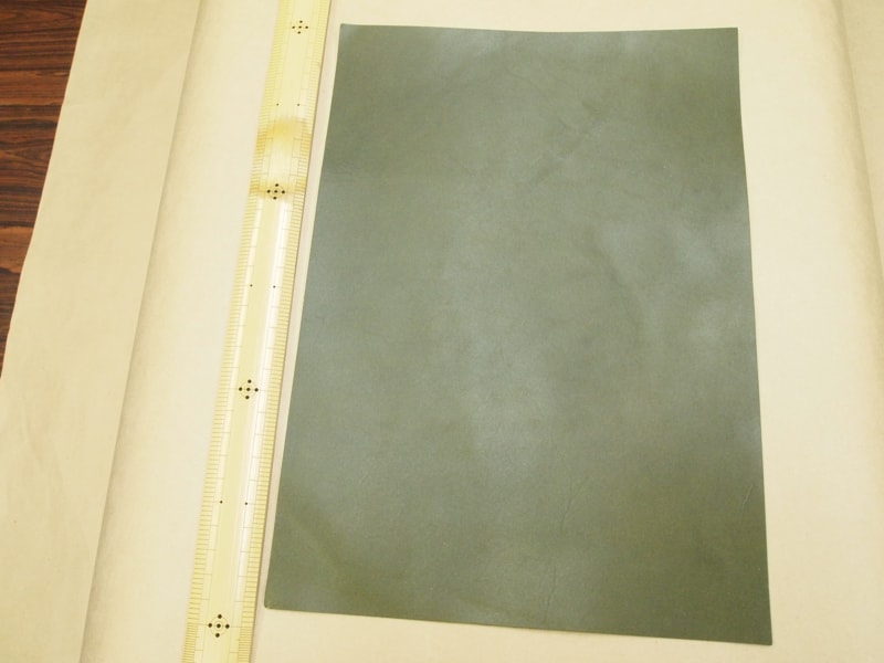 Mjpa111361