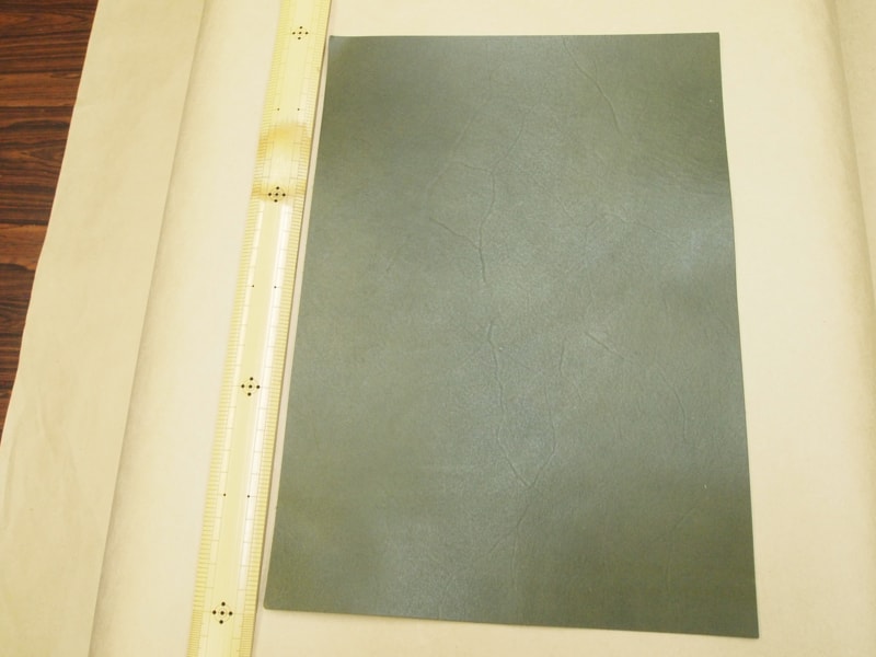 Mjpa111363