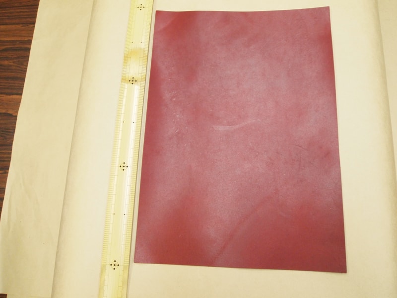 Mjpa111461