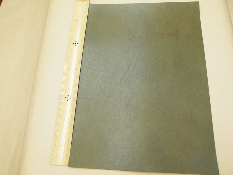 Mjpa181784