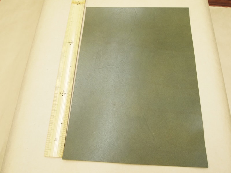 Mjpa181788