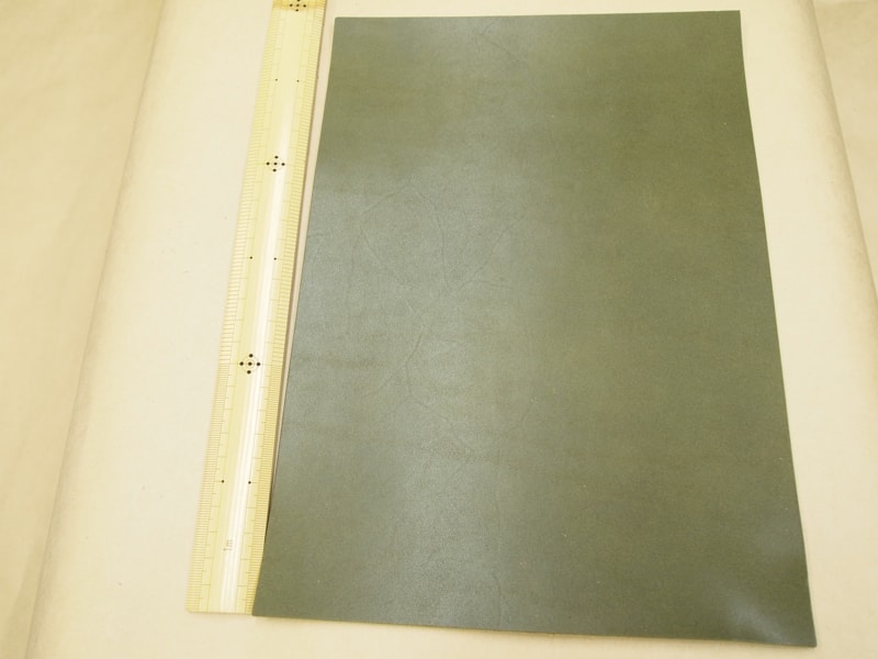 Mjpa181790