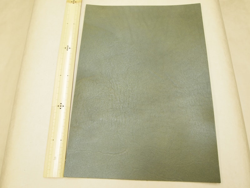 Mjpa181792