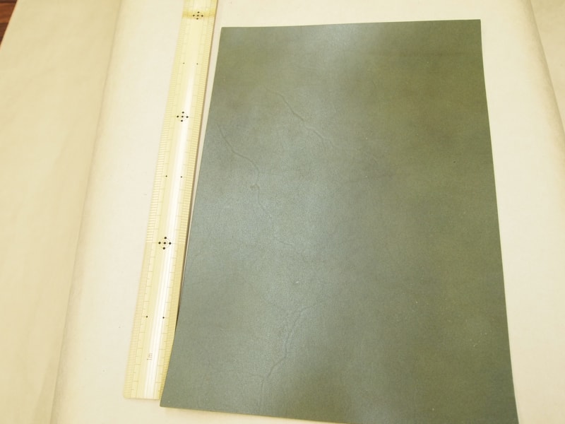 Mjpa181794