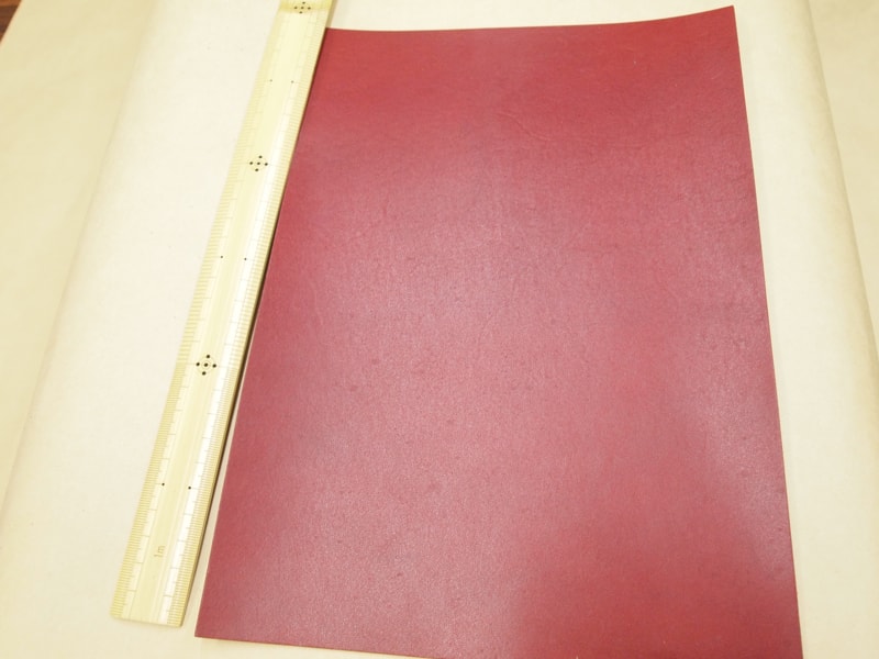Mjpa181830