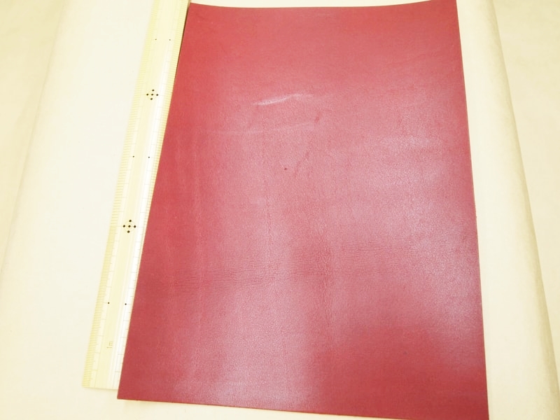 Mjpa181832